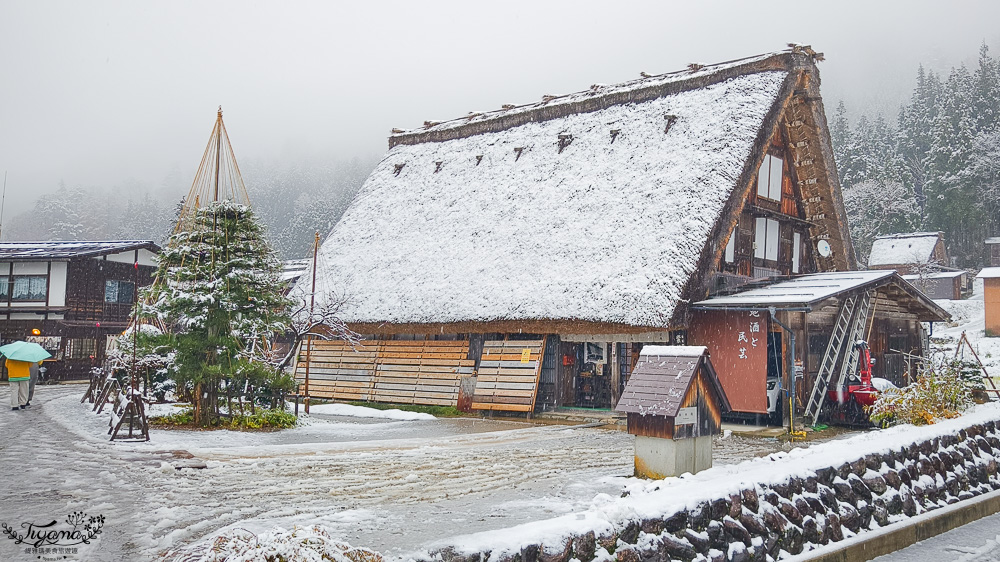 岐阜景點．迷人的白川合掌村「白川鄉合掌造聚落」一生必訪的世界文化遺產 @緹雅瑪 美食旅遊趣
