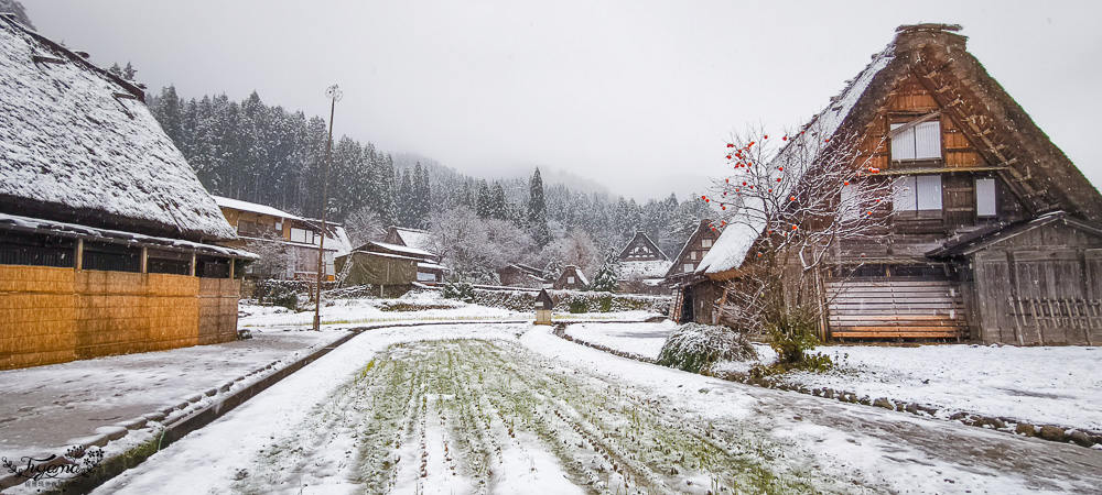 岐阜景點．迷人的白川合掌村「白川鄉合掌造聚落」一生必訪的世界文化遺產 @緹雅瑪 美食旅遊趣