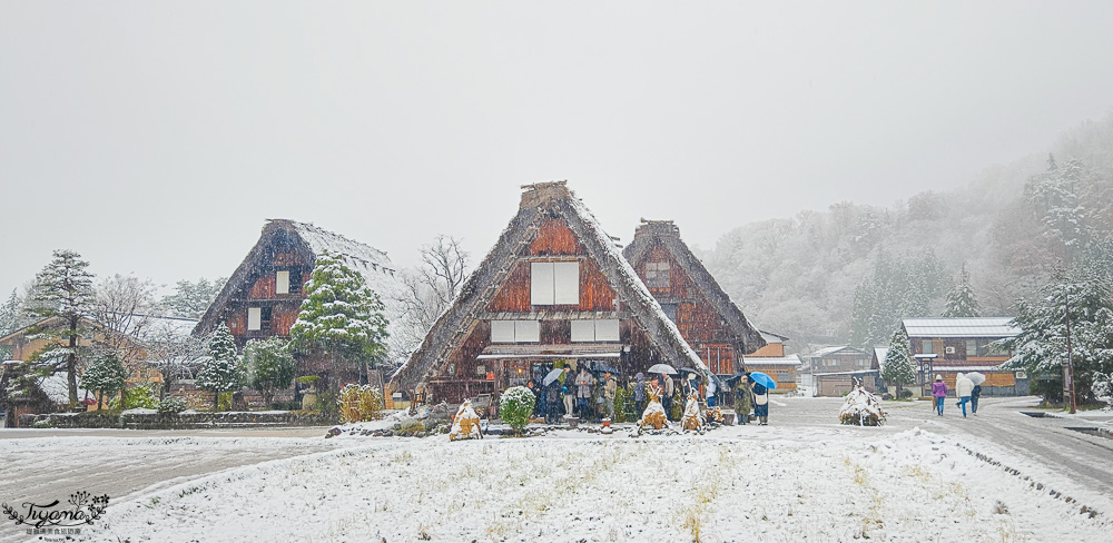 岐阜景點．迷人的白川合掌村「白川鄉合掌造聚落」一生必訪的世界文化遺產 @緹雅瑪 美食旅遊趣