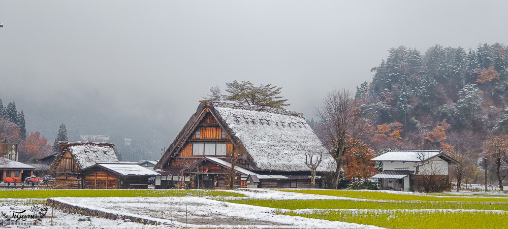 岐阜景點．迷人的白川合掌村「白川鄉合掌造聚落」一生必訪的世界文化遺產 @緹雅瑪 美食旅遊趣