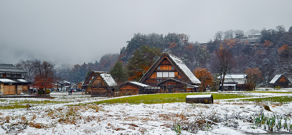 岐阜景點．迷人的白川合掌村「白川鄉合掌造聚落」一生必訪的世界文化遺產 @緹雅瑪 美食旅遊趣