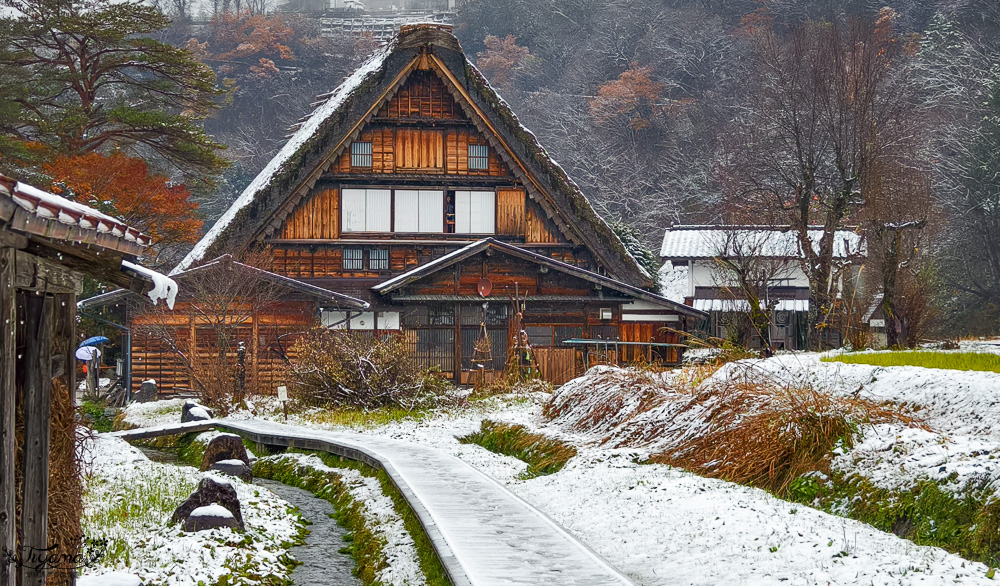岐阜景點．迷人的白川合掌村「白川鄉合掌造聚落」一生必訪的世界文化遺產 @緹雅瑪 美食旅遊趣