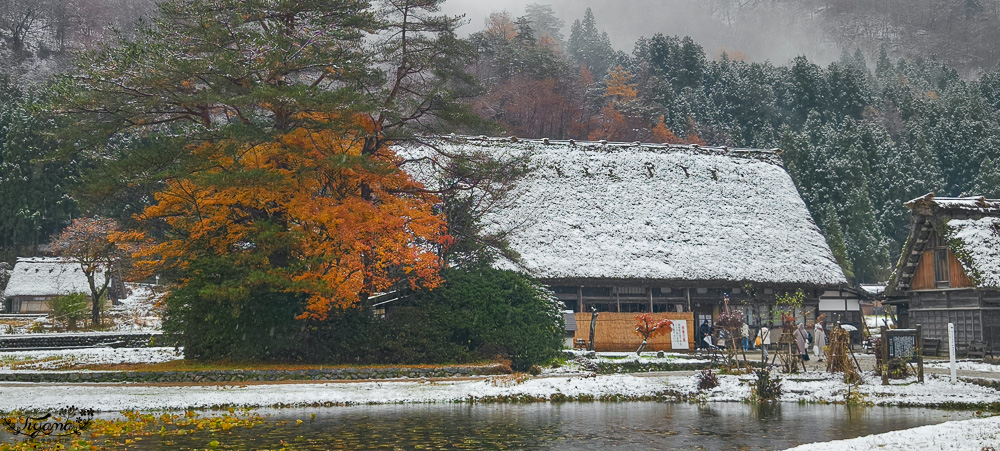 岐阜景點．迷人的白川合掌村「白川鄉合掌造聚落」一生必訪的世界文化遺產 @緹雅瑪 美食旅遊趣