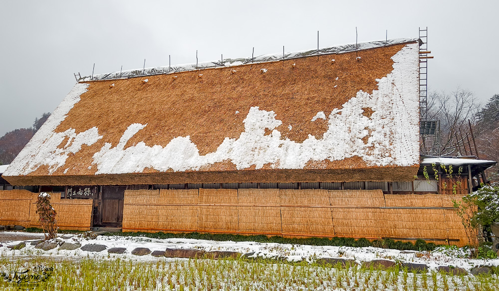 岐阜景點．迷人的白川合掌村「白川鄉合掌造聚落」一生必訪的世界文化遺產 @緹雅瑪 美食旅遊趣