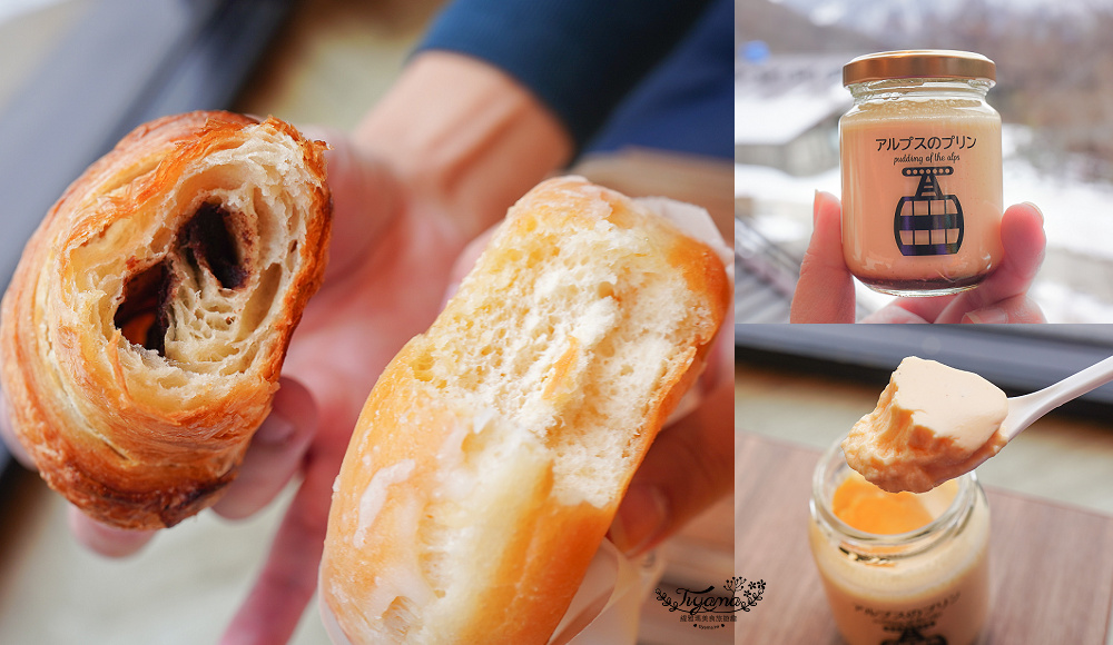 奧飛驒景點「新穗高空纜車」阿爾卑斯群山美景，新穗高空纜車全日本唯一兩層纜車，米其林2級美景 @緹雅瑪 美食旅遊趣