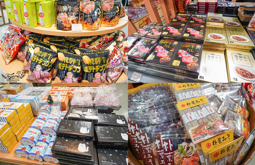 奧飛驒景點「新穗高空纜車」阿爾卑斯群山美景，新穗高空纜車全日本唯一兩層纜車，米其林2級美景 @緹雅瑪 美食旅遊趣