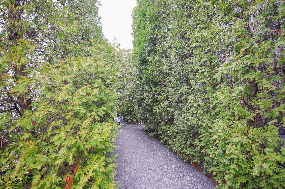 北海道甜點名店．六花亭 五稜郭店，函館五稜郭公園櫻花園旁玻璃甜點店 @緹雅瑪 美食旅遊趣