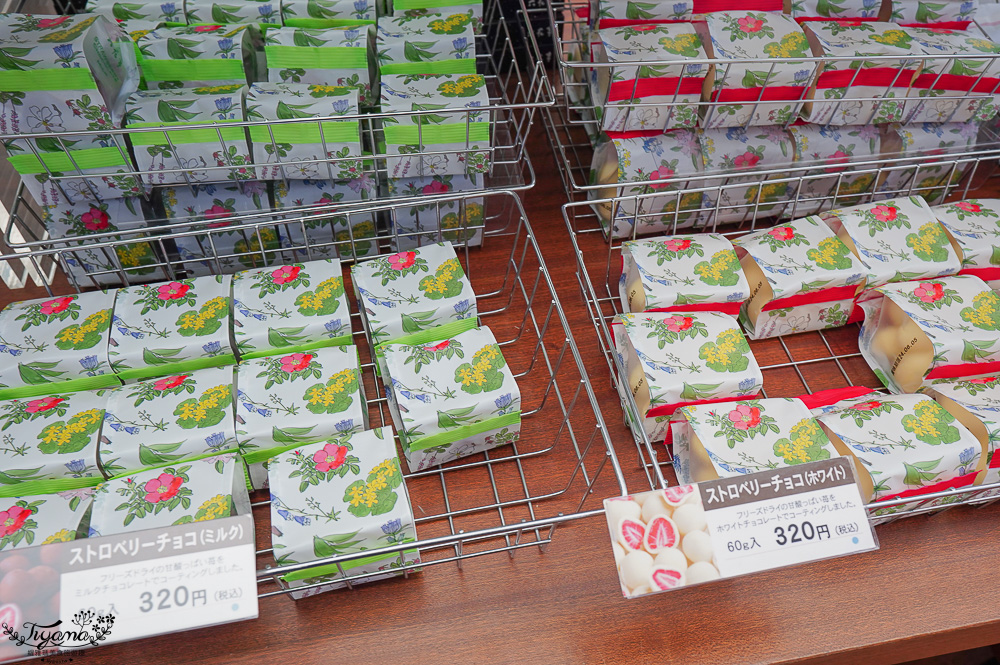 北海道甜點名店．六花亭 五稜郭店，函館五稜郭公園櫻花園旁玻璃甜點店 @緹雅瑪 美食旅遊趣