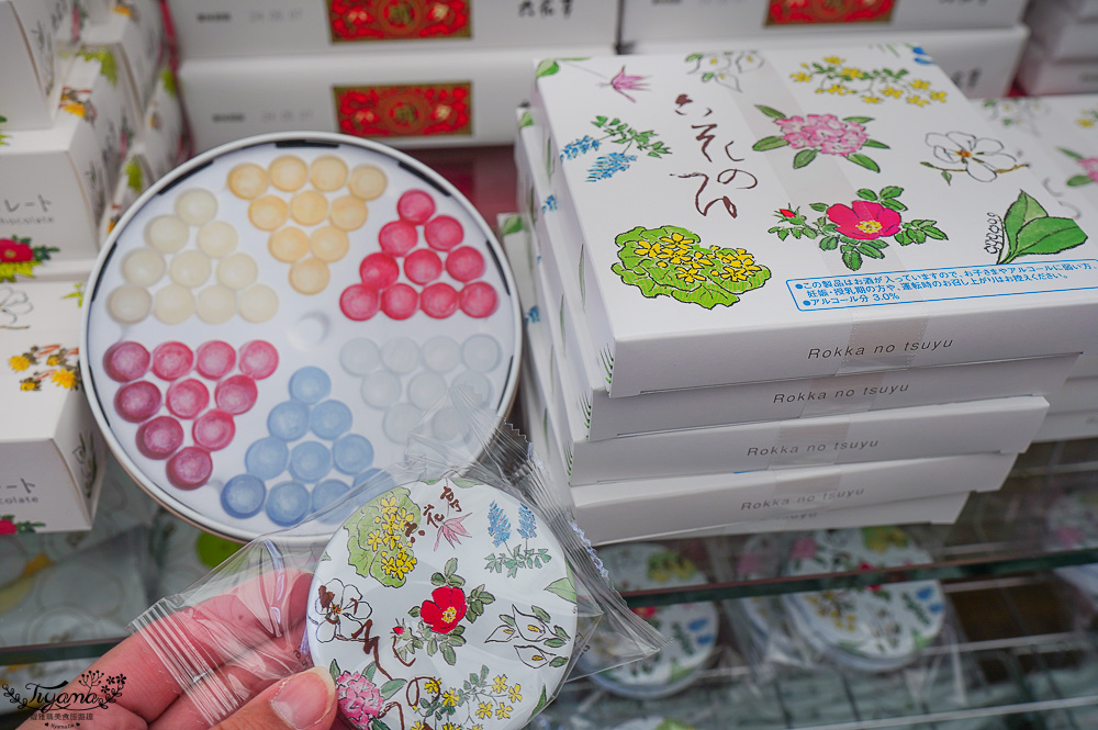 北海道甜點名店．六花亭 五稜郭店，函館五稜郭公園櫻花園旁玻璃甜點店 @緹雅瑪 美食旅遊趣