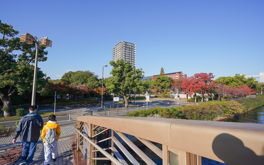 名古屋景點。白鳥庭園：名古屋賞楓景點，東海地區最大的迴遊池沼式日本庭園 @緹雅瑪 美食旅遊趣
