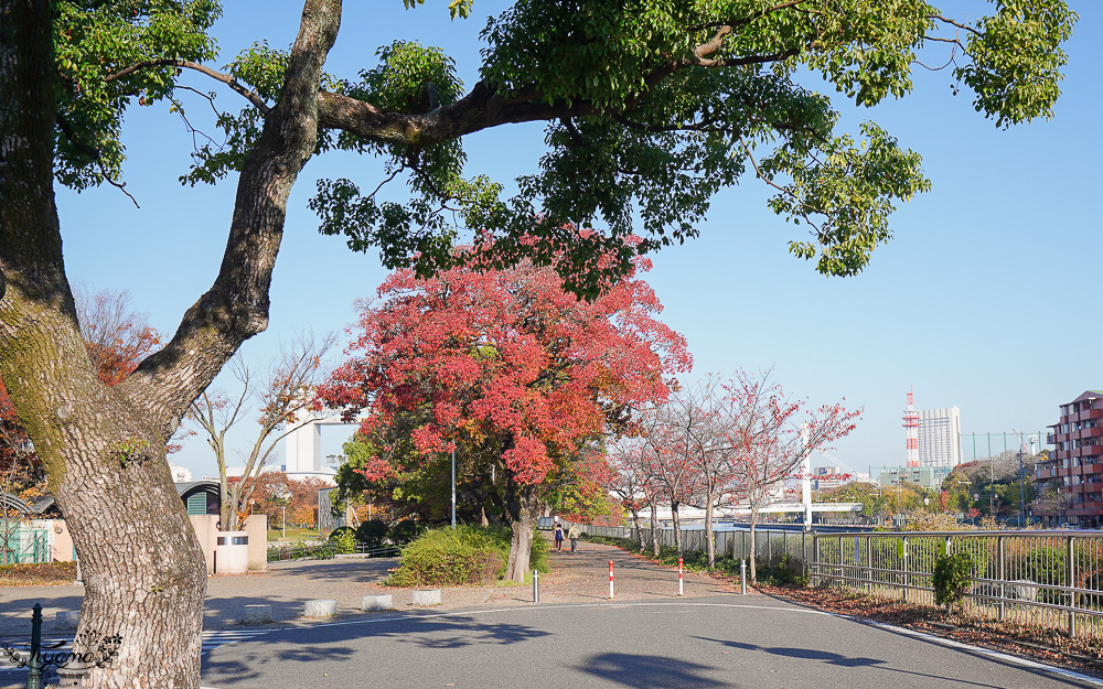 名古屋景點。白鳥庭園：名古屋賞楓景點，東海地區最大的迴遊池沼式日本庭園 @緹雅瑪 美食旅遊趣