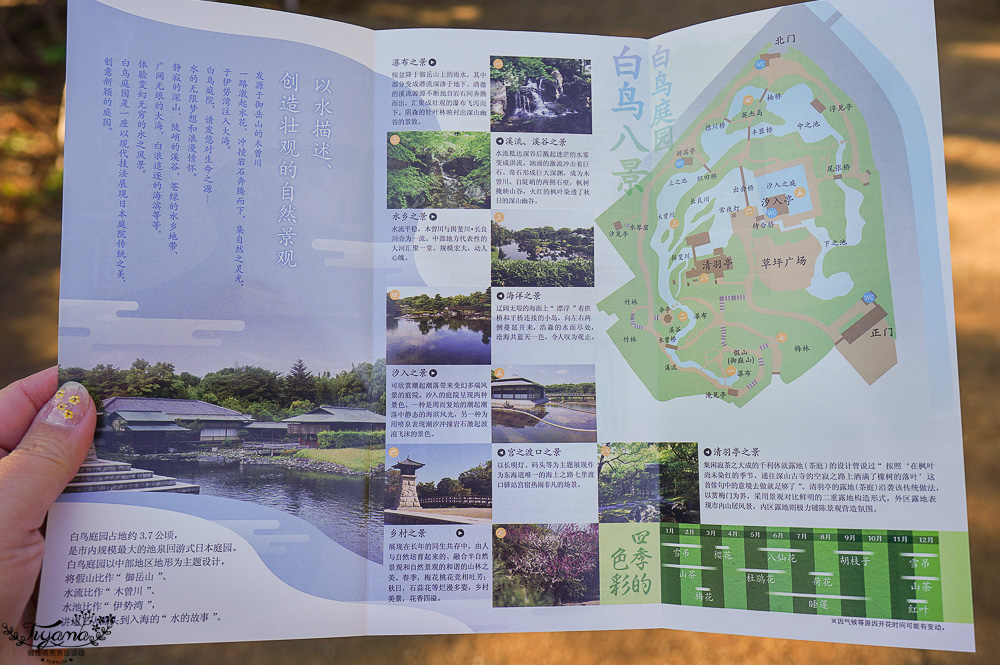 名古屋景點。白鳥庭園：名古屋賞楓景點，東海地區最大的迴遊池沼式日本庭園 @緹雅瑪 美食旅遊趣