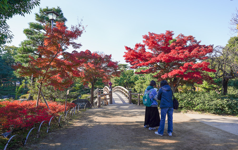 名古屋景點。白鳥庭園：名古屋賞楓景點，東海地區最大的迴遊池沼式日本庭園 @緹雅瑪 美食旅遊趣