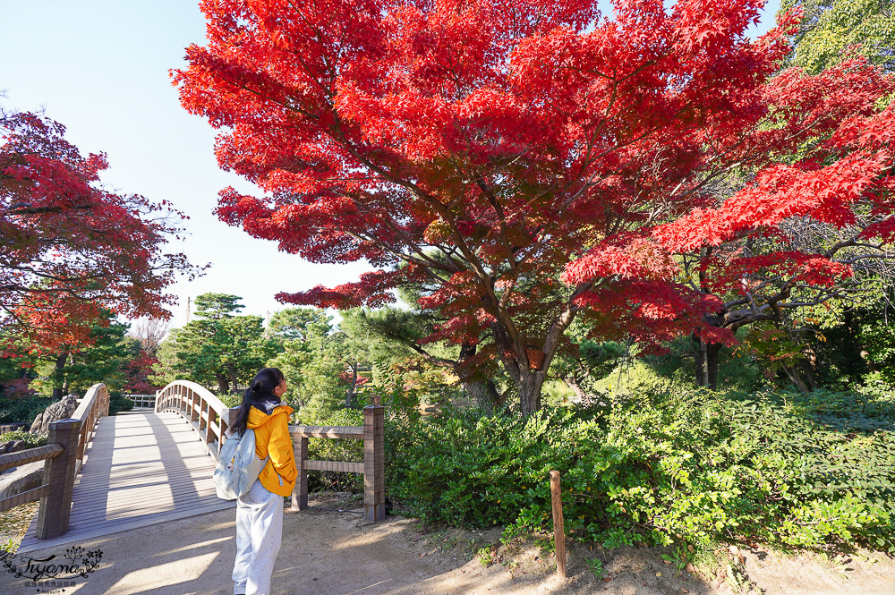 名古屋景點。白鳥庭園：名古屋賞楓景點，東海地區最大的迴遊池沼式日本庭園 @緹雅瑪 美食旅遊趣