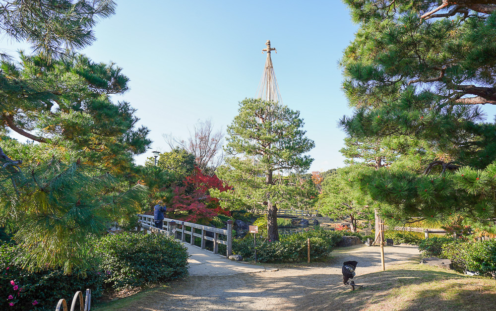 名古屋景點。白鳥庭園：名古屋賞楓景點，東海地區最大的迴遊池沼式日本庭園 @緹雅瑪 美食旅遊趣