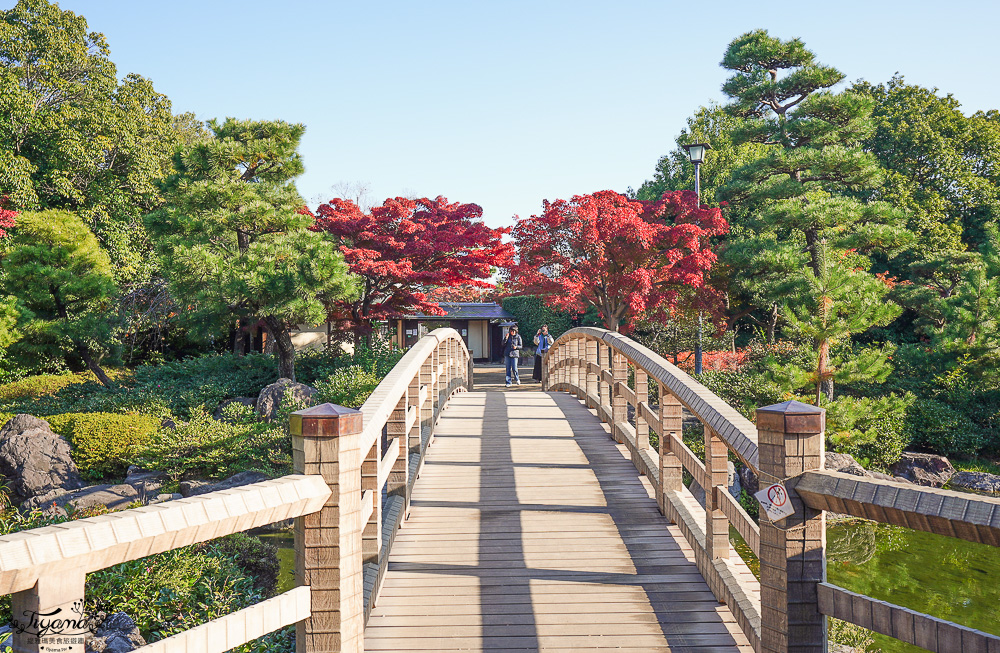 名古屋景點。白鳥庭園：名古屋賞楓景點，東海地區最大的迴遊池沼式日本庭園 @緹雅瑪 美食旅遊趣
