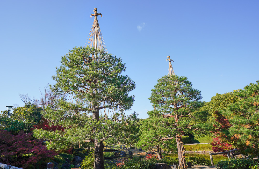 名古屋景點。白鳥庭園：名古屋賞楓景點，東海地區最大的迴遊池沼式日本庭園 @緹雅瑪 美食旅遊趣