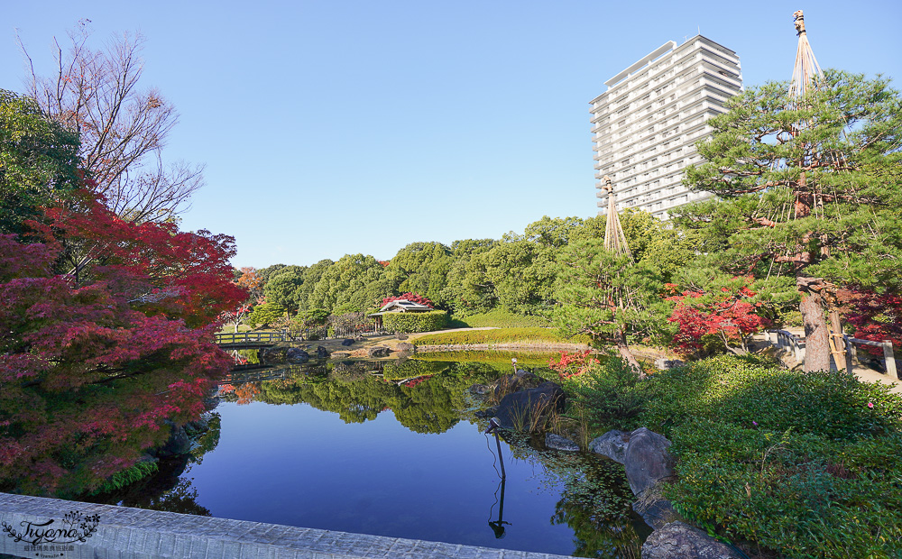 名古屋景點。白鳥庭園：名古屋賞楓景點，東海地區最大的迴遊池沼式日本庭園 @緹雅瑪 美食旅遊趣