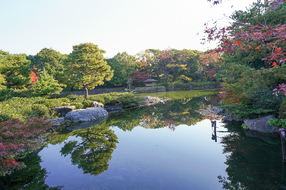 名古屋景點。白鳥庭園：名古屋賞楓景點，東海地區最大的迴遊池沼式日本庭園 @緹雅瑪 美食旅遊趣