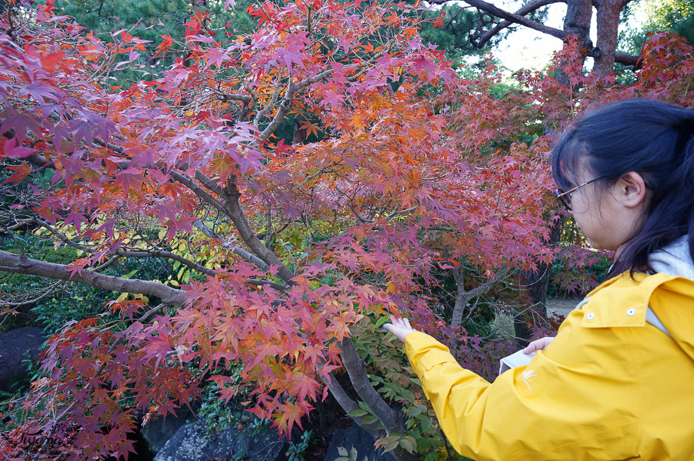 名古屋景點。白鳥庭園：名古屋賞楓景點，東海地區最大的迴遊池沼式日本庭園 @緹雅瑪 美食旅遊趣