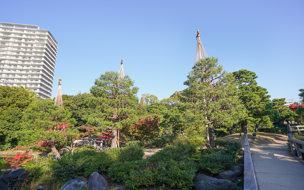 名古屋景點。白鳥庭園：名古屋賞楓景點，東海地區最大的迴遊池沼式日本庭園 @緹雅瑪 美食旅遊趣