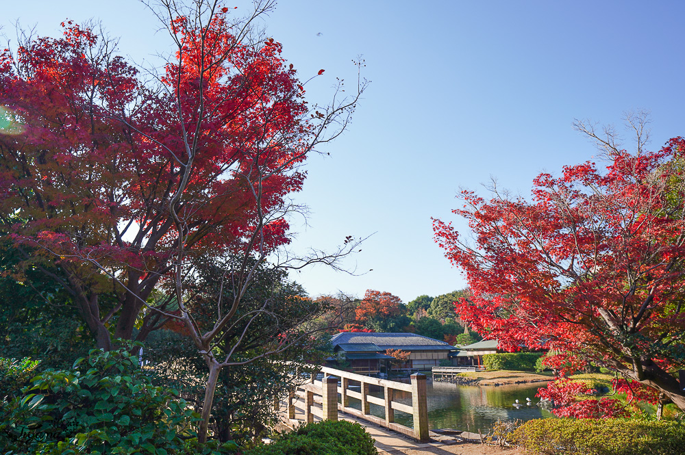 名古屋景點。白鳥庭園：名古屋賞楓景點，東海地區最大的迴遊池沼式日本庭園 @緹雅瑪 美食旅遊趣