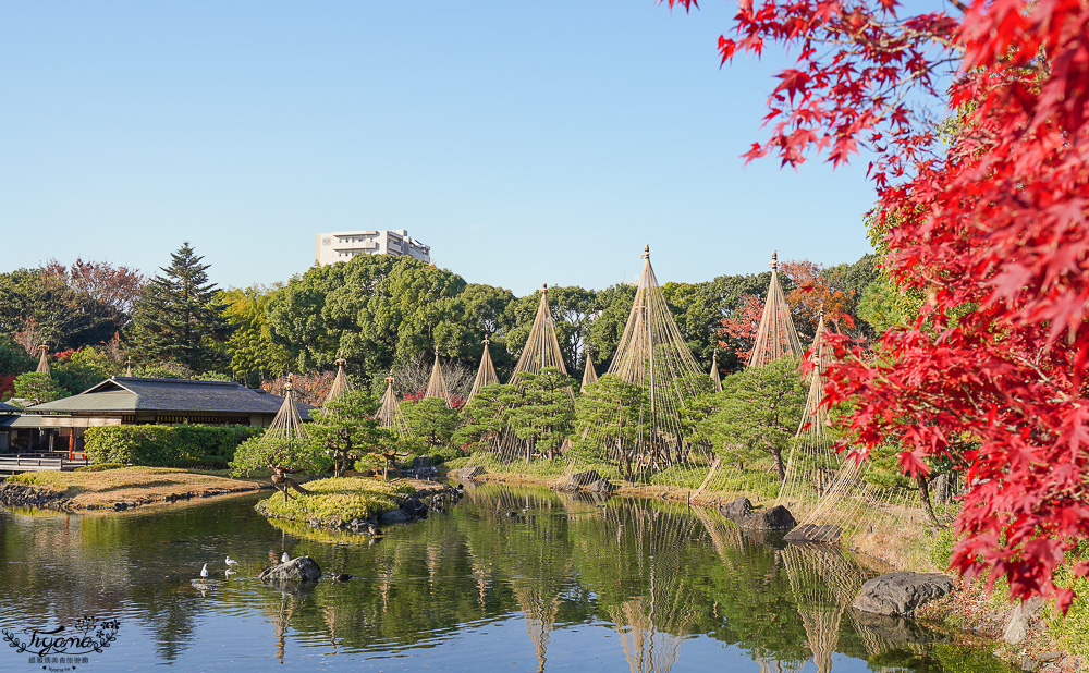 名古屋景點。白鳥庭園：名古屋賞楓景點，東海地區最大的迴遊池沼式日本庭園 @緹雅瑪 美食旅遊趣