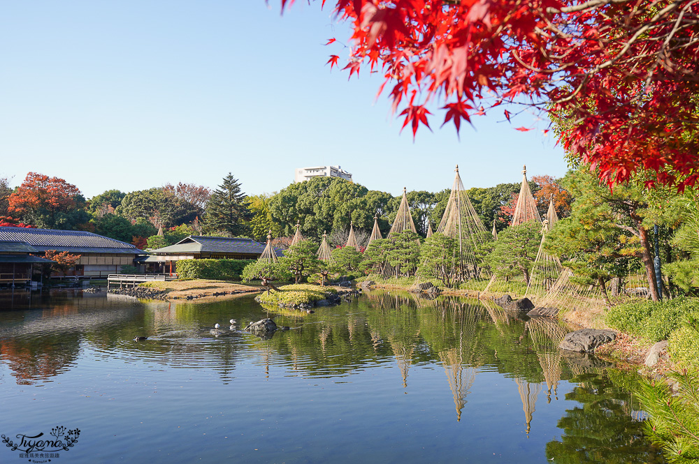 名古屋景點。白鳥庭園：名古屋賞楓景點，東海地區最大的迴遊池沼式日本庭園 @緹雅瑪 美食旅遊趣