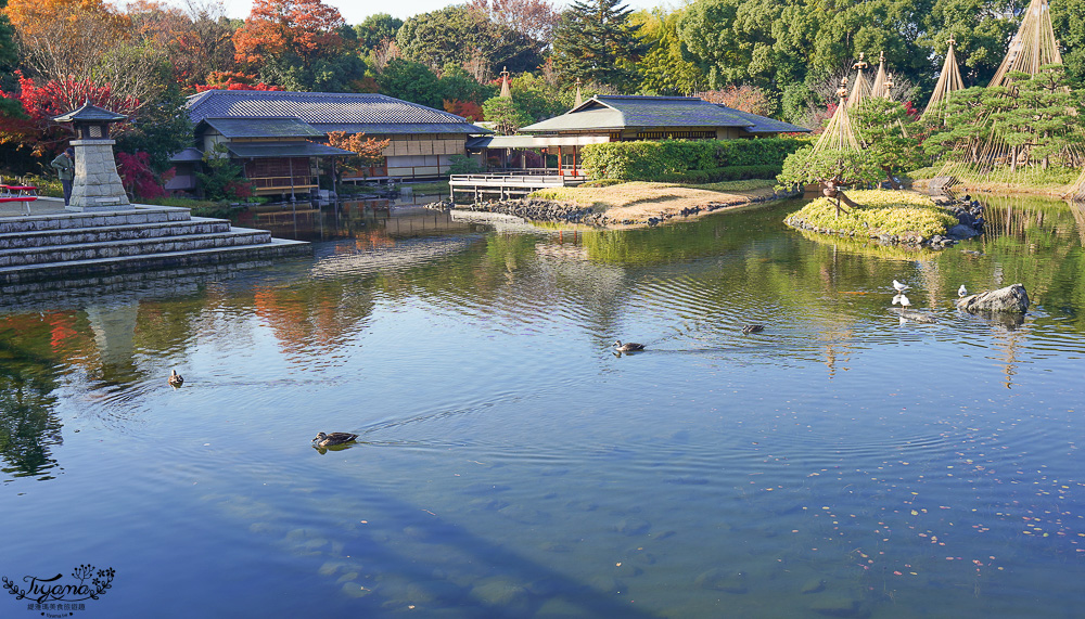 名古屋景點。白鳥庭園：名古屋賞楓景點，東海地區最大的迴遊池沼式日本庭園 @緹雅瑪 美食旅遊趣