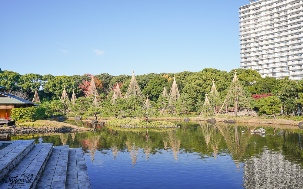 名古屋景點。白鳥庭園：名古屋賞楓景點，東海地區最大的迴遊池沼式日本庭園 @緹雅瑪 美食旅遊趣