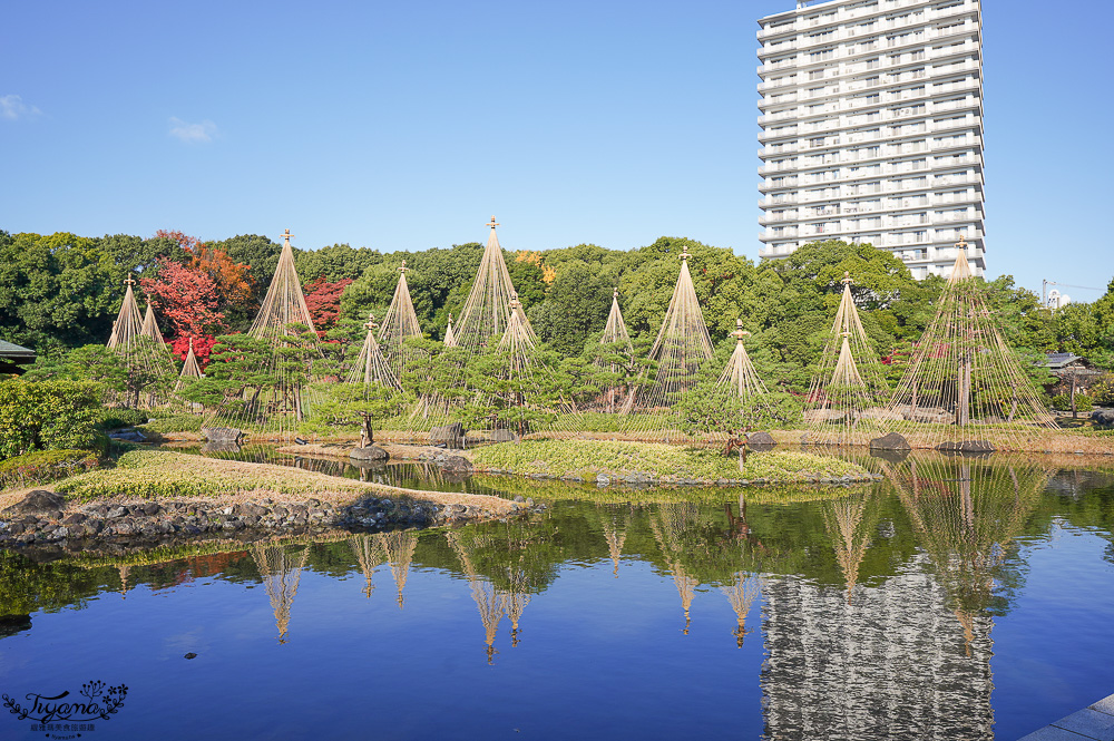 名古屋景點。白鳥庭園：名古屋賞楓景點，東海地區最大的迴遊池沼式日本庭園 @緹雅瑪 美食旅遊趣