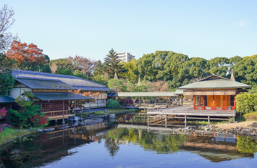 名古屋景點。白鳥庭園：名古屋賞楓景點，東海地區最大的迴遊池沼式日本庭園 @緹雅瑪 美食旅遊趣