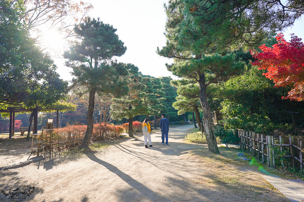 名古屋景點。白鳥庭園：名古屋賞楓景點，東海地區最大的迴遊池沼式日本庭園 @緹雅瑪 美食旅遊趣