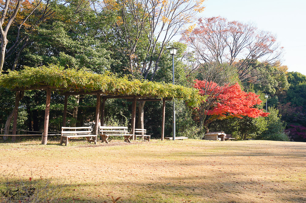 名古屋景點。白鳥庭園：名古屋賞楓景點，東海地區最大的迴遊池沼式日本庭園 @緹雅瑪 美食旅遊趣