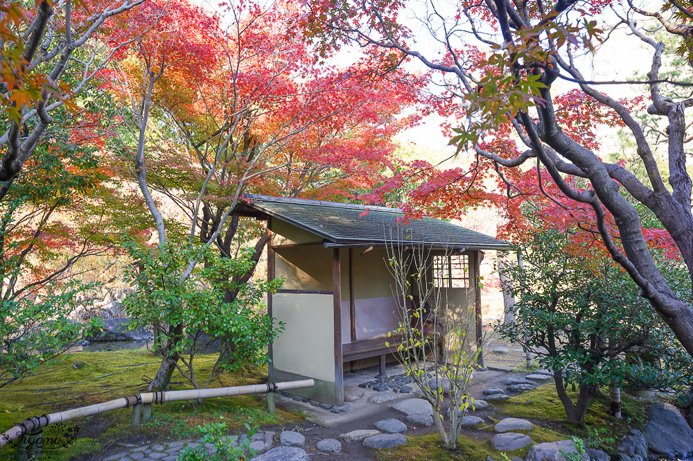 名古屋景點。白鳥庭園：名古屋賞楓景點，東海地區最大的迴遊池沼式日本庭園 @緹雅瑪 美食旅遊趣