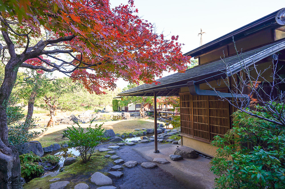 名古屋景點。白鳥庭園：名古屋賞楓景點，東海地區最大的迴遊池沼式日本庭園 @緹雅瑪 美食旅遊趣