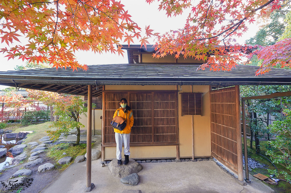 名古屋景點。白鳥庭園：名古屋賞楓景點，東海地區最大的迴遊池沼式日本庭園 @緹雅瑪 美食旅遊趣