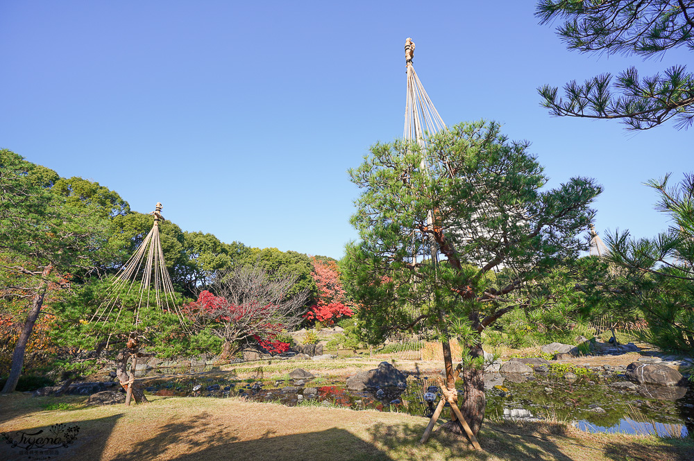 名古屋景點。白鳥庭園：名古屋賞楓景點，東海地區最大的迴遊池沼式日本庭園 @緹雅瑪 美食旅遊趣