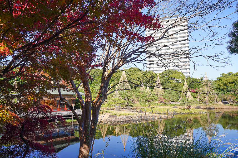 名古屋景點。白鳥庭園：名古屋賞楓景點，東海地區最大的迴遊池沼式日本庭園 @緹雅瑪 美食旅遊趣