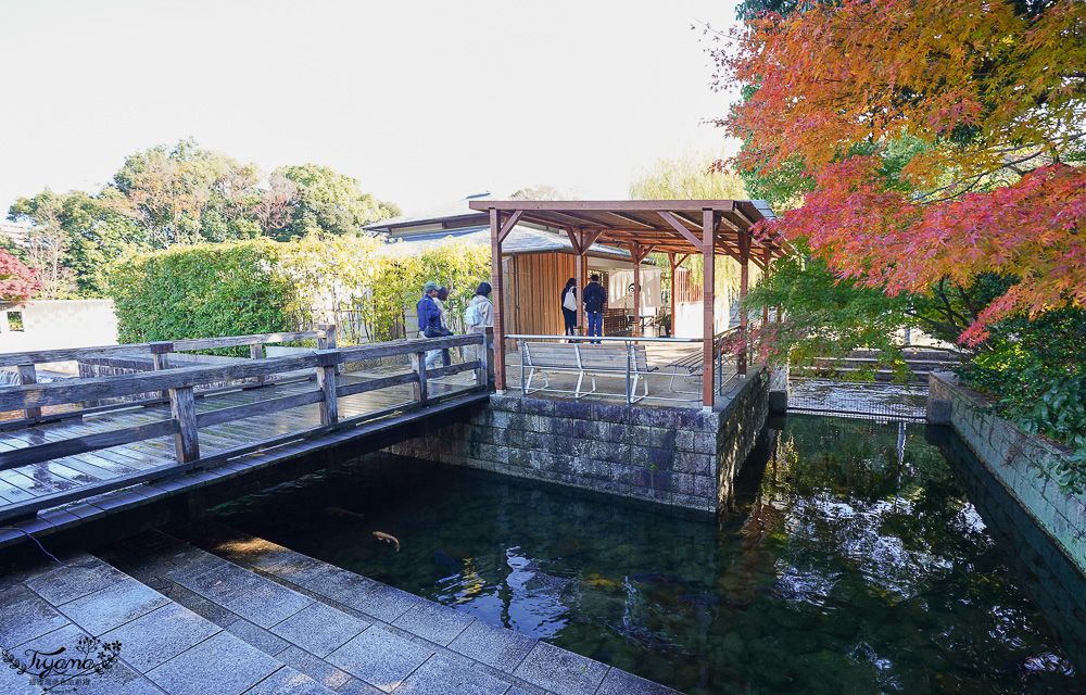名古屋景點。白鳥庭園：名古屋賞楓景點，東海地區最大的迴遊池沼式日本庭園 @緹雅瑪 美食旅遊趣