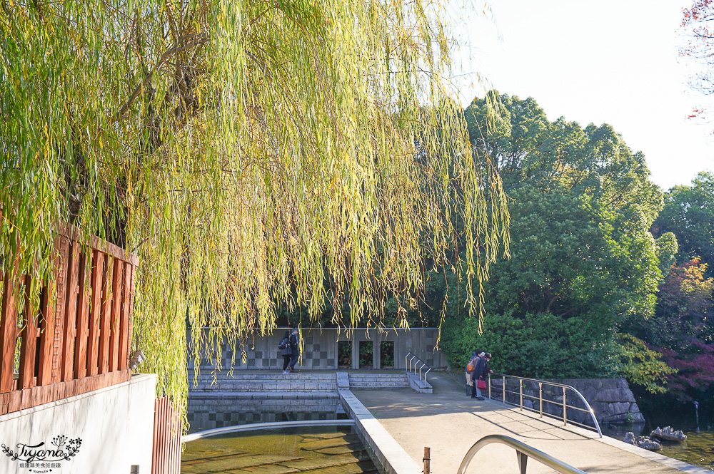 名古屋景點。白鳥庭園：名古屋賞楓景點，東海地區最大的迴遊池沼式日本庭園 @緹雅瑪 美食旅遊趣