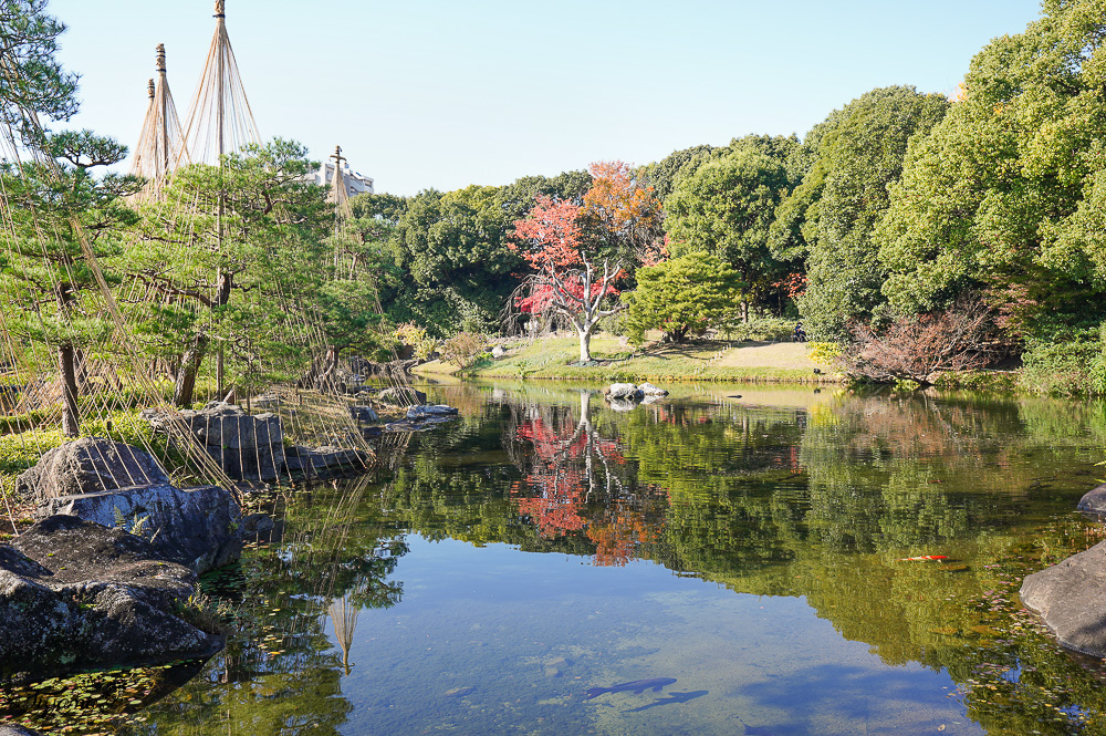 名古屋景點。白鳥庭園：名古屋賞楓景點，東海地區最大的迴遊池沼式日本庭園 @緹雅瑪 美食旅遊趣