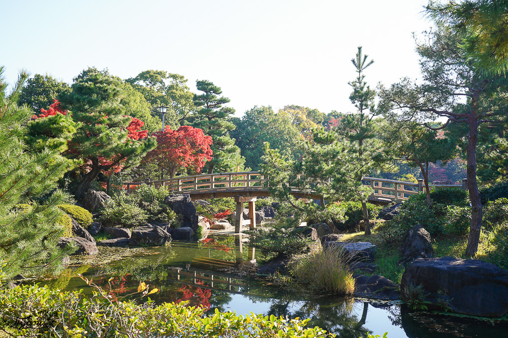 名古屋景點。白鳥庭園：名古屋賞楓景點，東海地區最大的迴遊池沼式日本庭園 @緹雅瑪 美食旅遊趣