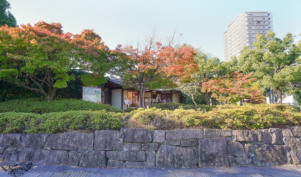名古屋景點。白鳥庭園：名古屋賞楓景點，東海地區最大的迴遊池沼式日本庭園 @緹雅瑪 美食旅遊趣