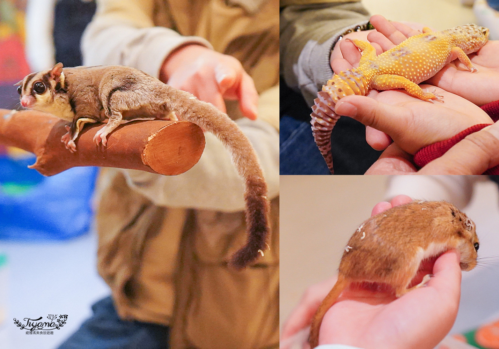 新竹親子飯店．煙波大飯店 新竹湖濱館「卡樂次元雙胞胎森林 主題房」一泊二饗住房專案，莫內西餐廳煙波早午餐｜蝶屋日式料理豪饗套餐｜煙波十菜｜在地寶食 @緹雅瑪 美食旅遊趣