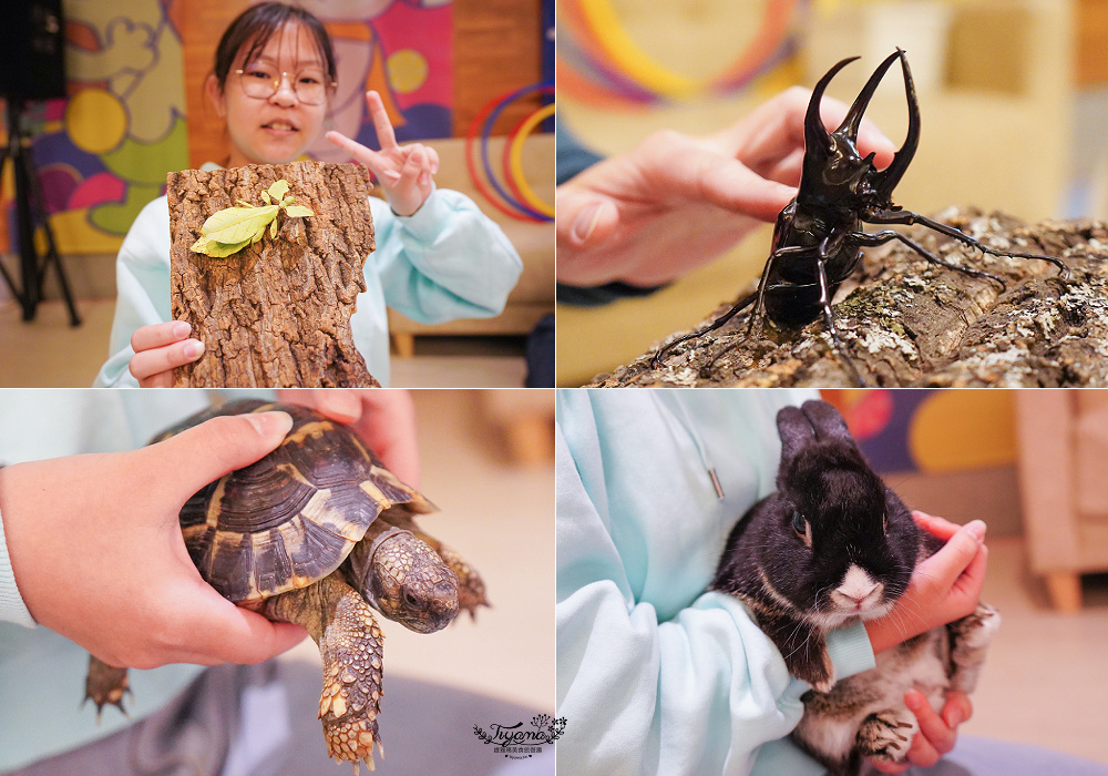 新竹親子飯店．煙波大飯店 新竹湖濱館「卡樂次元雙胞胎森林 主題房」一泊二饗住房專案，莫內西餐廳煙波早午餐｜蝶屋日式料理豪饗套餐｜煙波十菜｜在地寶食 @緹雅瑪 美食旅遊趣
