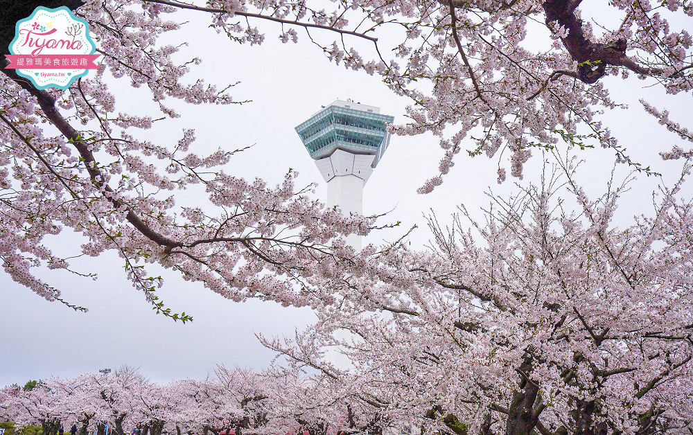 行軍版北海道函館一日遊！！函館朝市．函館元町教堂群散策．金森紅磚倉庫．五稜郭塔．五稜郭公園．六花亭．幸運小丑漢堡．成吉思汗大黑屋 @緹雅瑪 美食旅遊趣