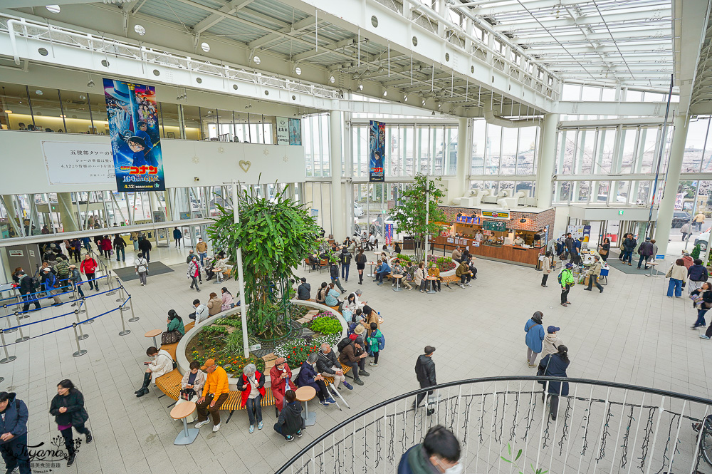 行軍版北海道函館一日遊！！函館朝市．函館元町教堂群散策．金森紅磚倉庫．五稜郭塔．五稜郭公園．六花亭．幸運小丑漢堡．成吉思汗大黑屋 @緹雅瑪 美食旅遊趣