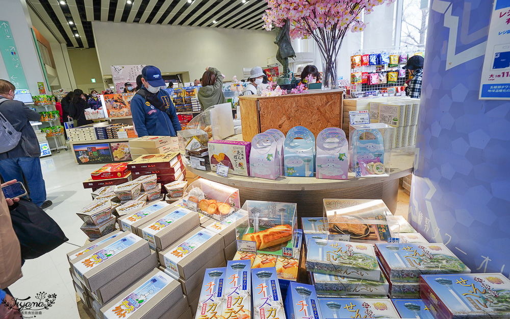 北海道函館景點｜北海道五稜郭塔，櫻花季五稜郭塔超級美，五稜郭塔門票｜五稜郭塔賞櫻 @緹雅瑪 美食旅遊趣