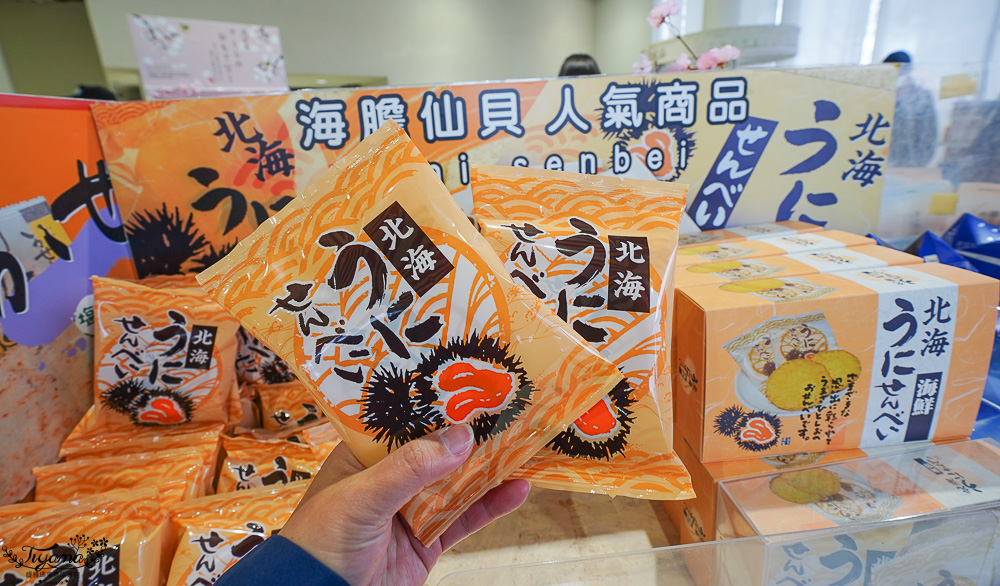 北海道函館景點｜北海道五稜郭塔，櫻花季五稜郭塔超級美，五稜郭塔門票｜五稜郭塔賞櫻 @緹雅瑪 美食旅遊趣